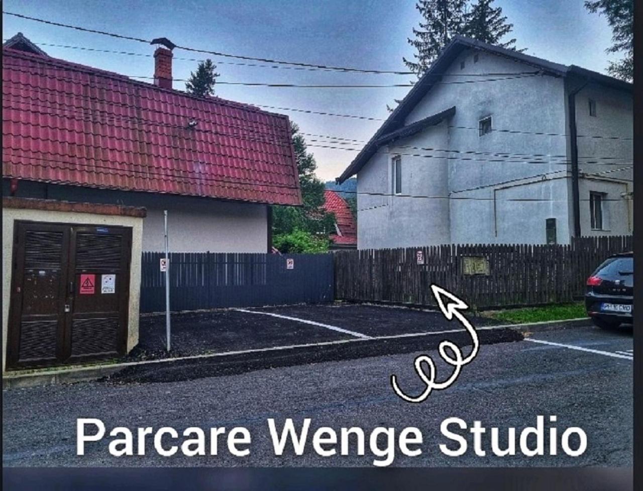 Wenge Studio & Spa Sinaia Exterior photo